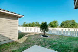Back Yard