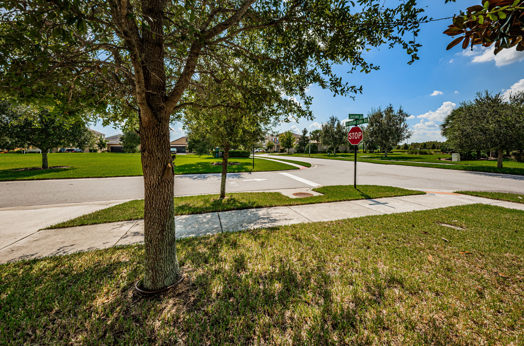 Frontyard View