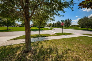 Frontyard View