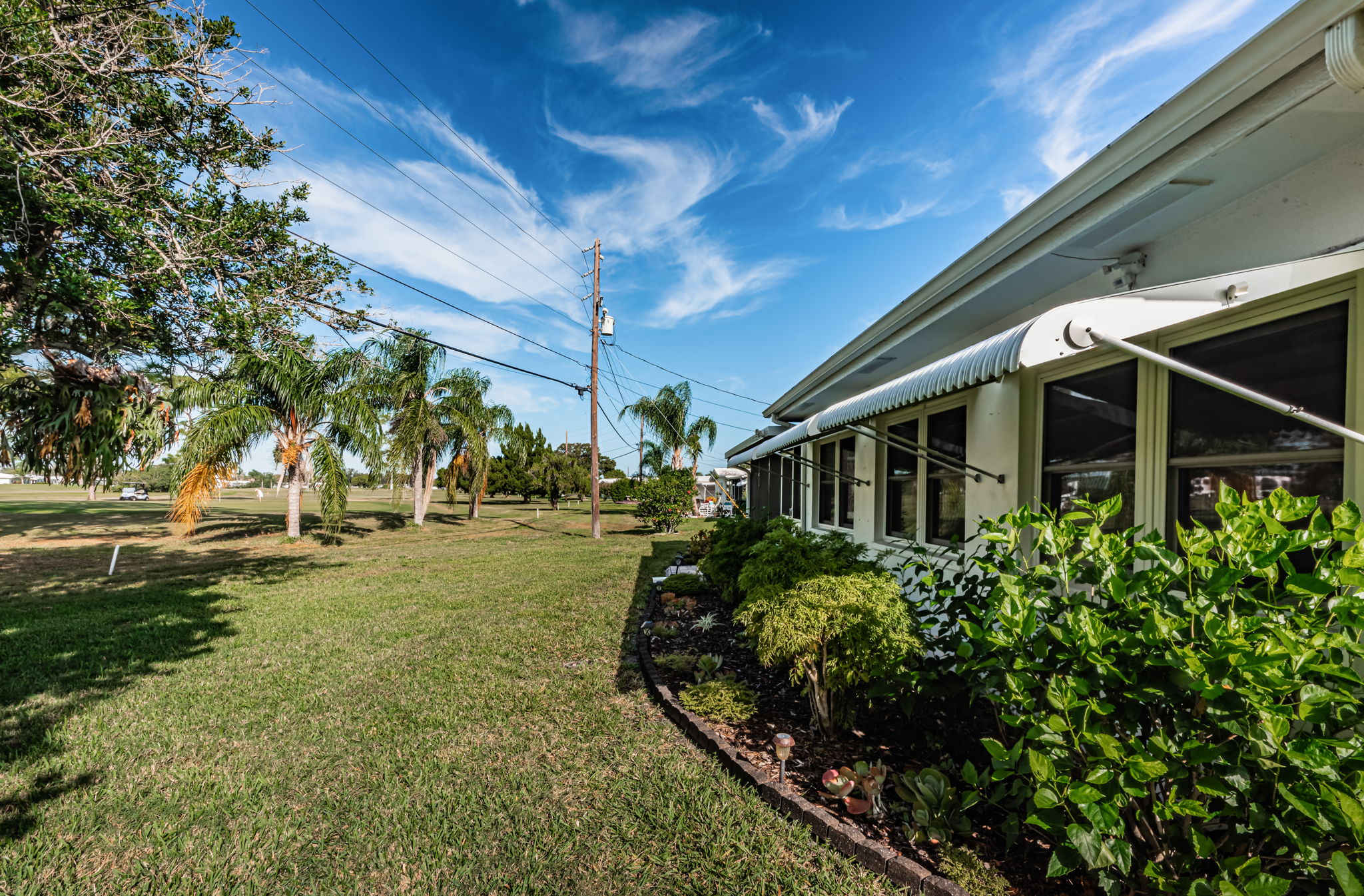 Rear Yard