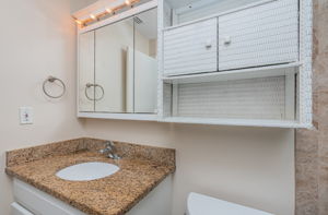 Master Bathroom 3