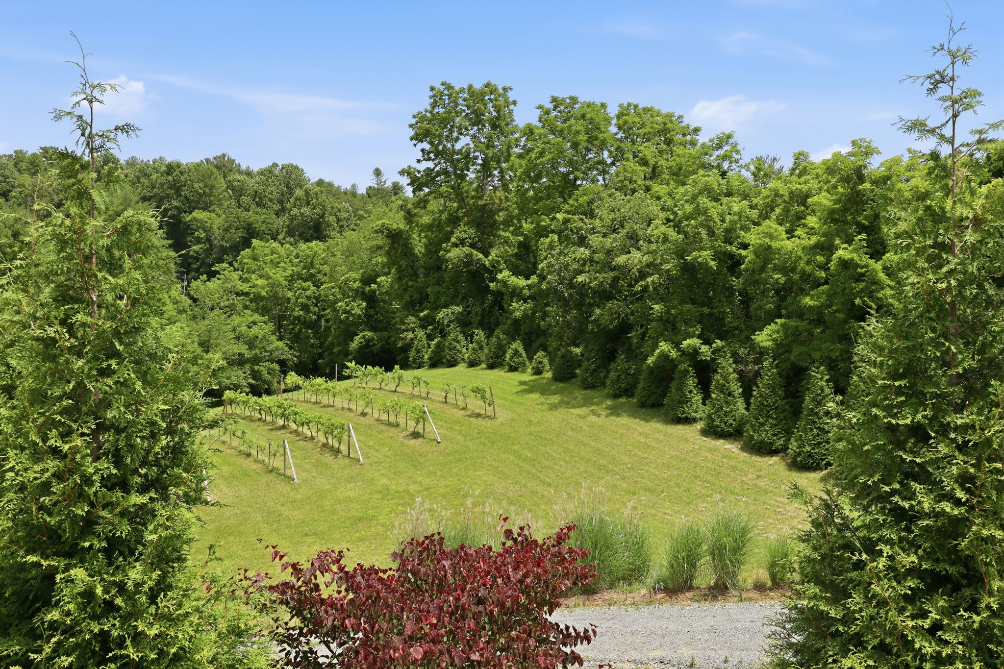  Photo 69
