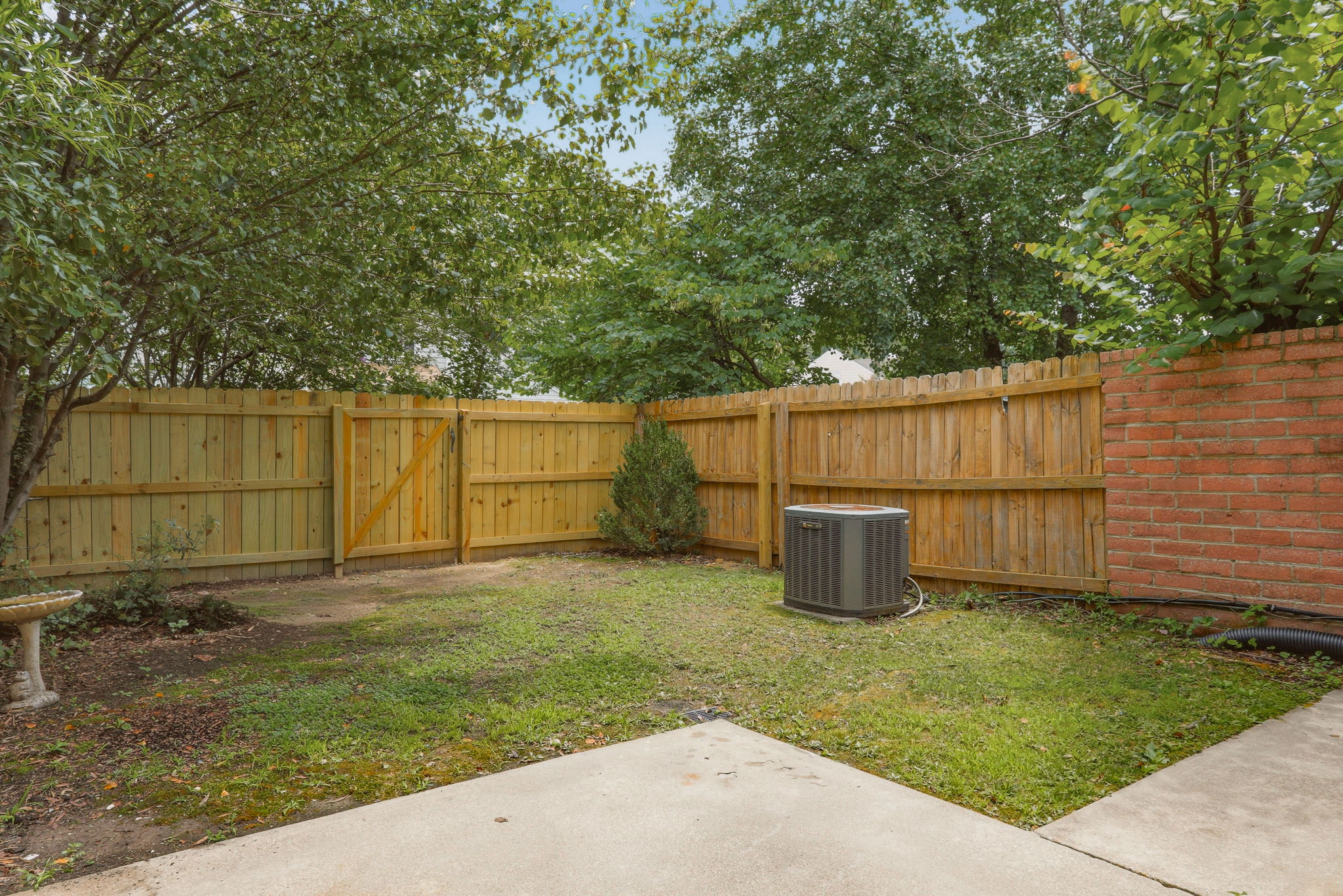 25-Backyard