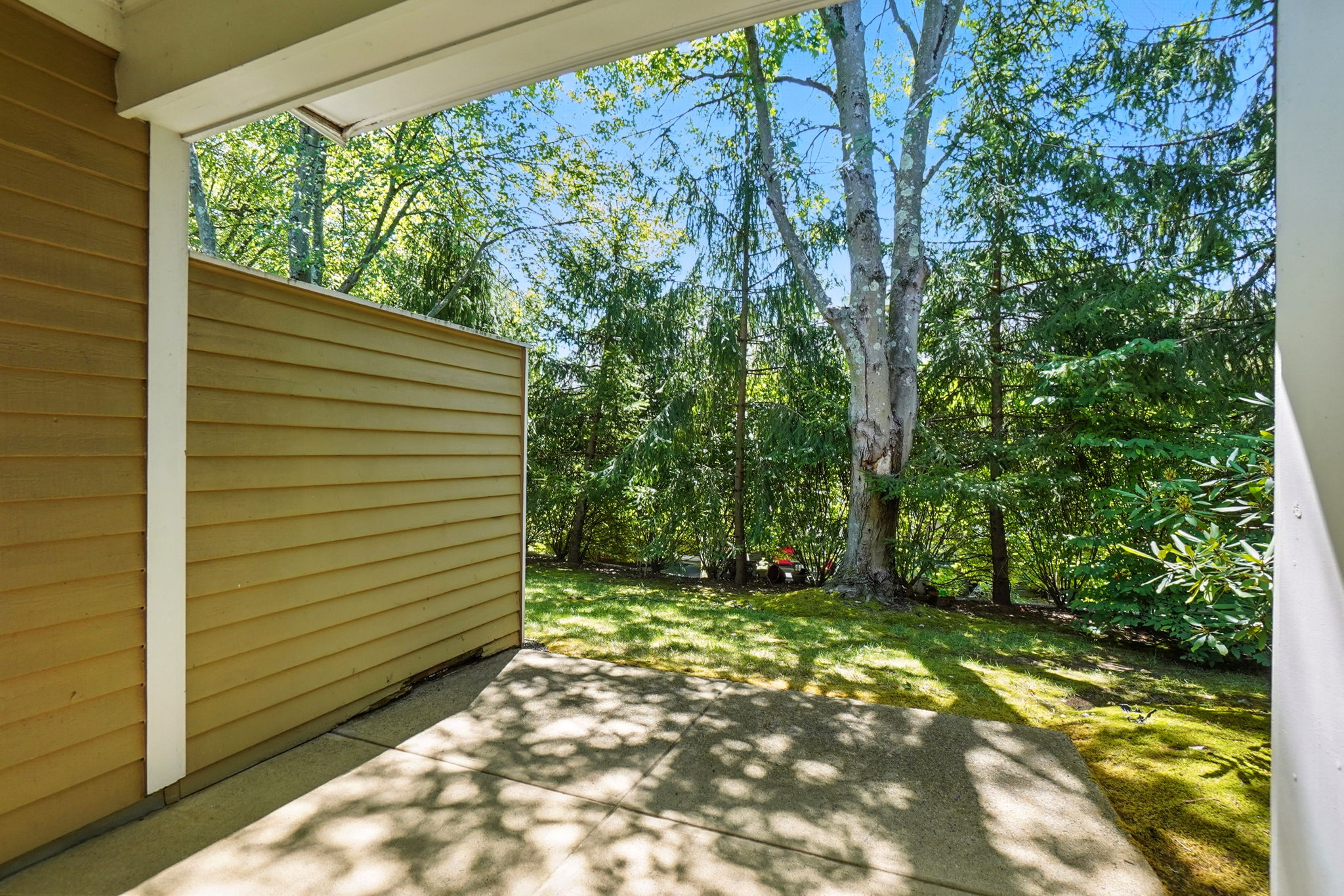 private backyard