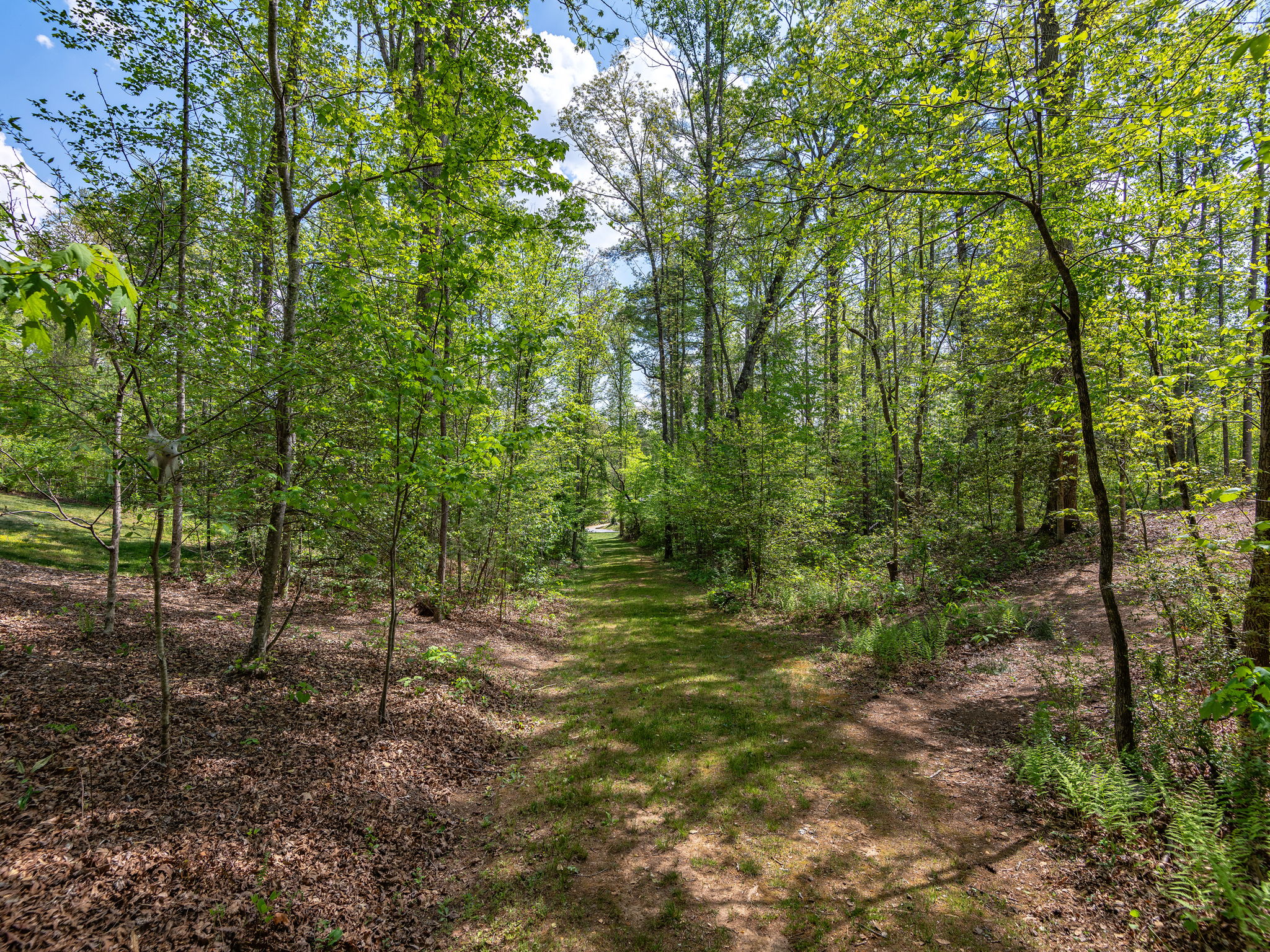 Roadbed leads to cul-de-sac with access to trails and Bull Creek