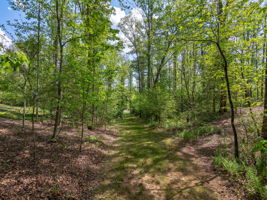 Roadbed leads to cul-de-sac with access to trails and Bull Creek