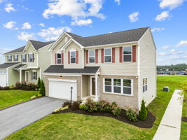  Photo 60