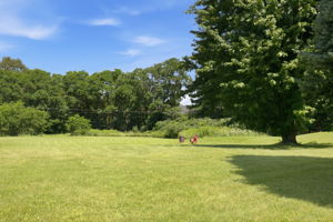  Photo 35