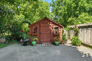  Photo 49