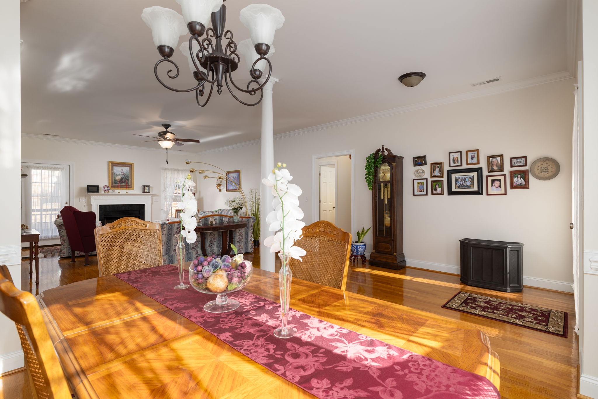 410 Cassandra Rd-7