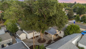 Aerial