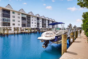 Dock 3 of 3 - Advance Edit