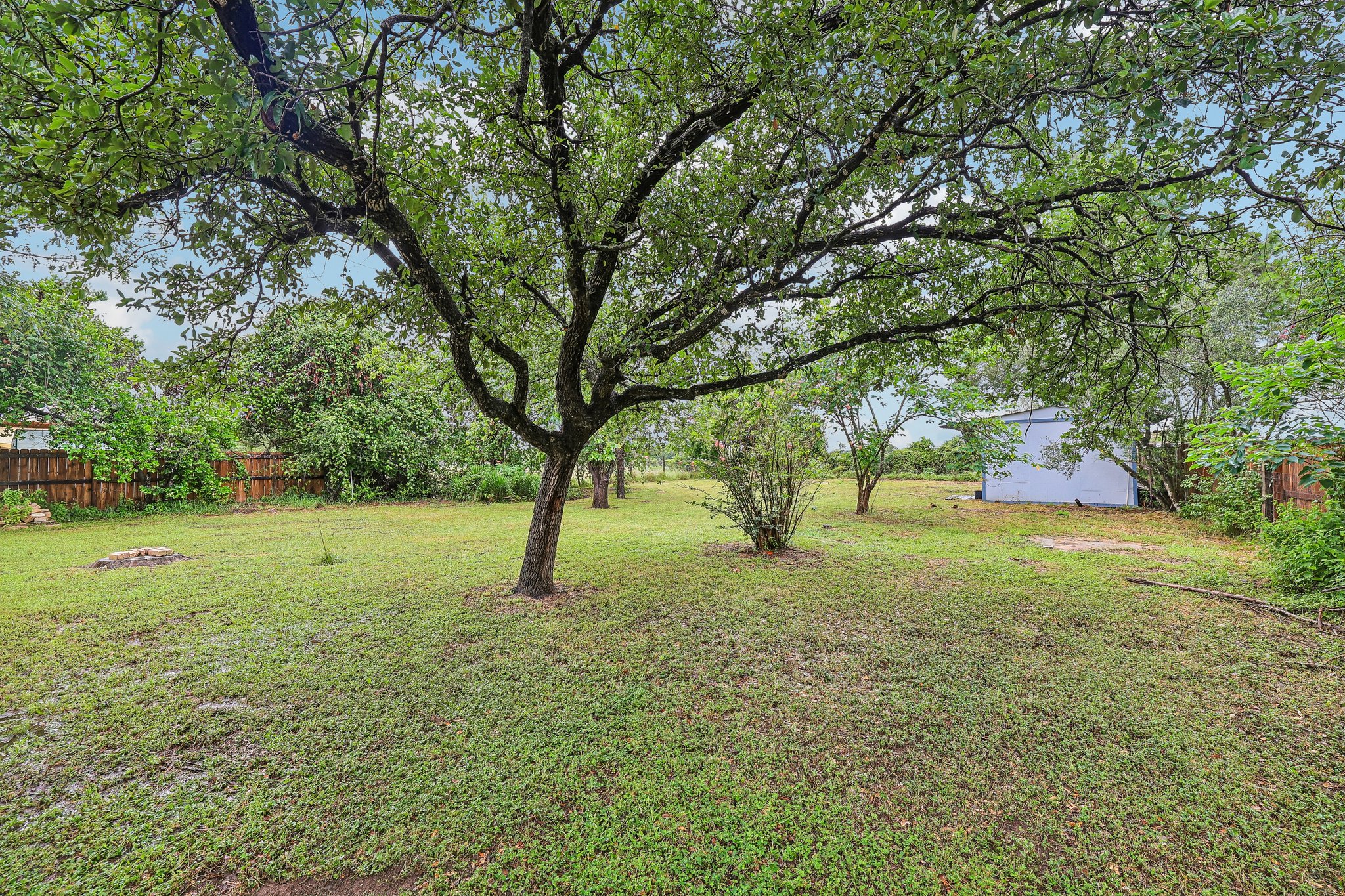 Magnolia St-S1507-025.jpg