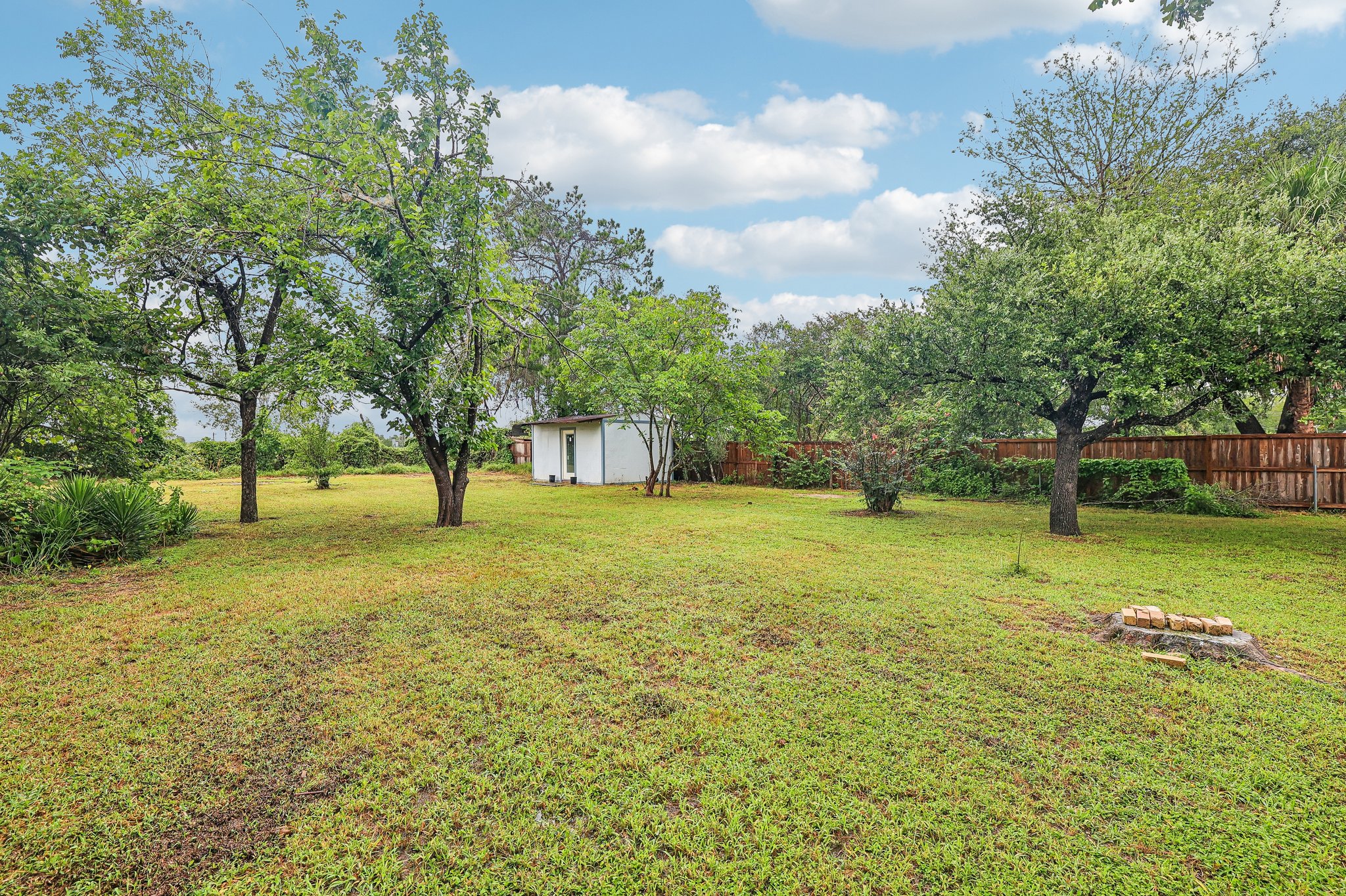 Magnolia St-S1507-029.jpg