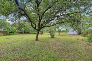 Magnolia St-S1507-025.jpg