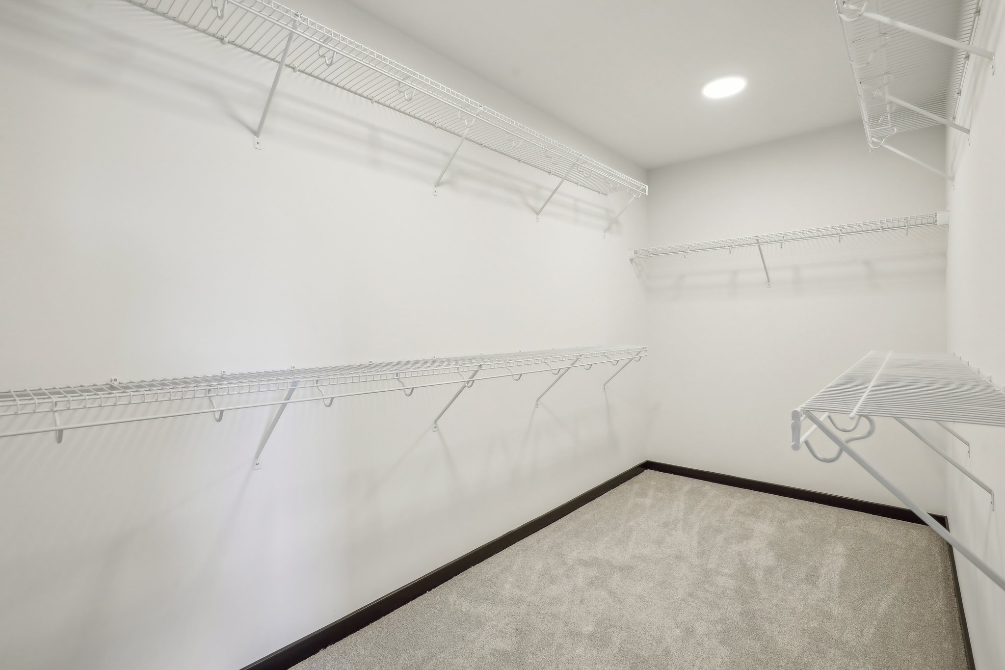 Max Kolbe Cir-030.jpg