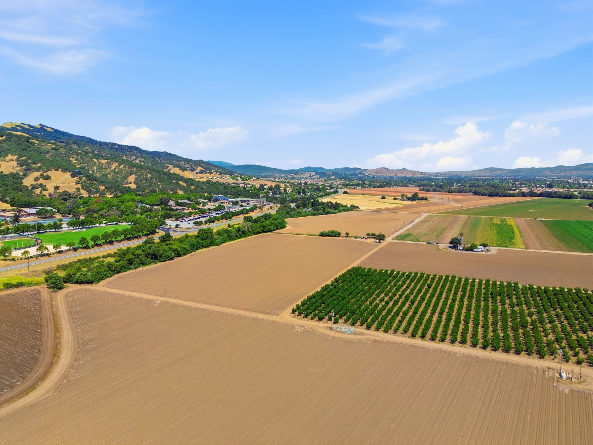 003_F8_AERIAL_410 Mesa Rd