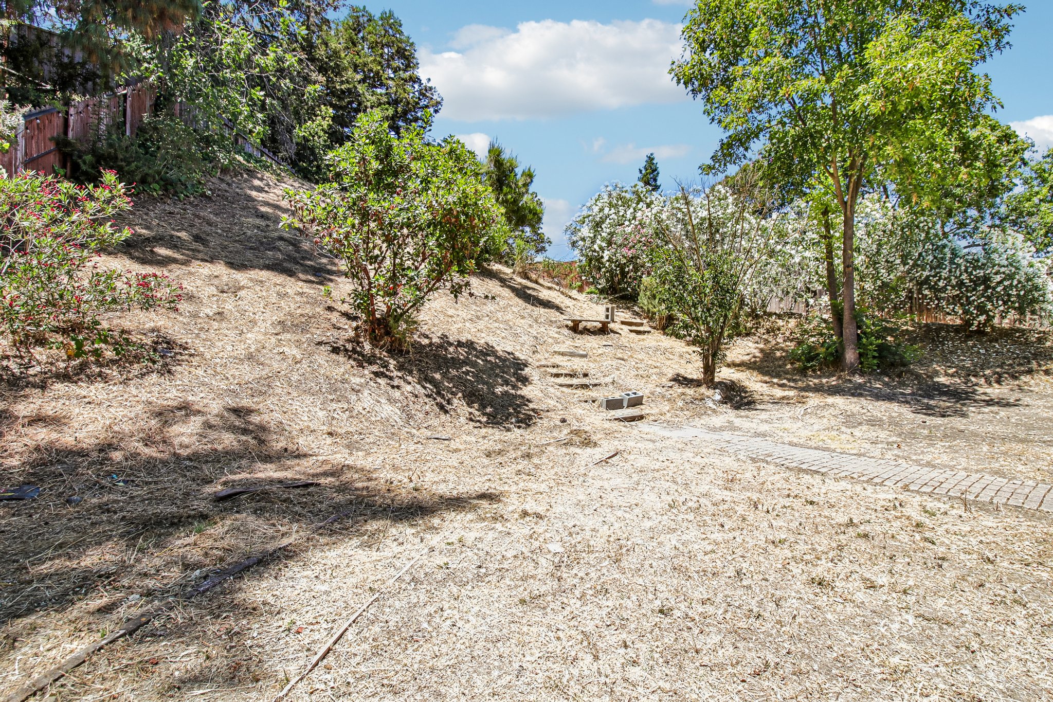 Oak Breeze Ct-S2606-049.jpg