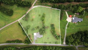  Photo 48