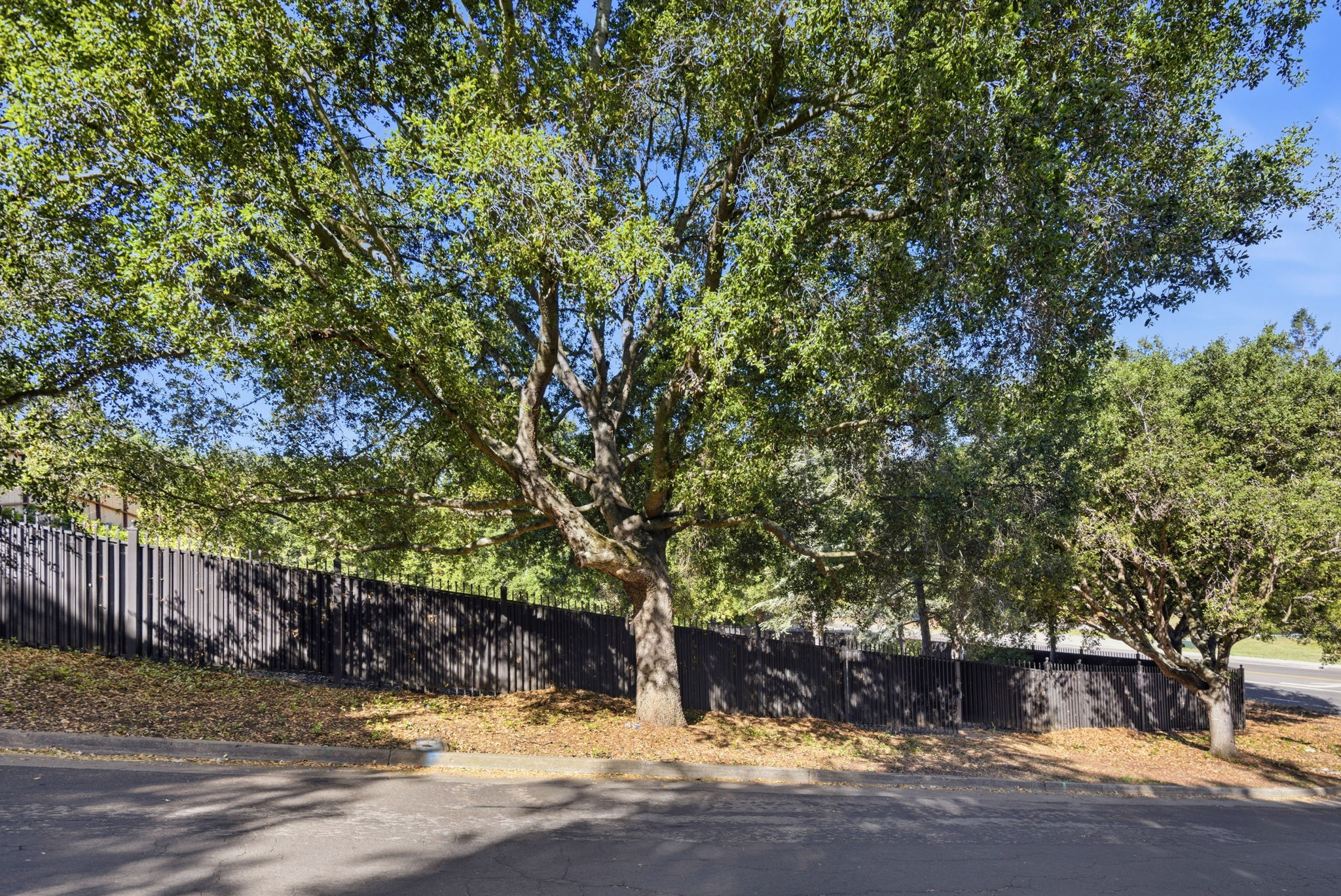 011_F8_4100 Old Adobe Rd