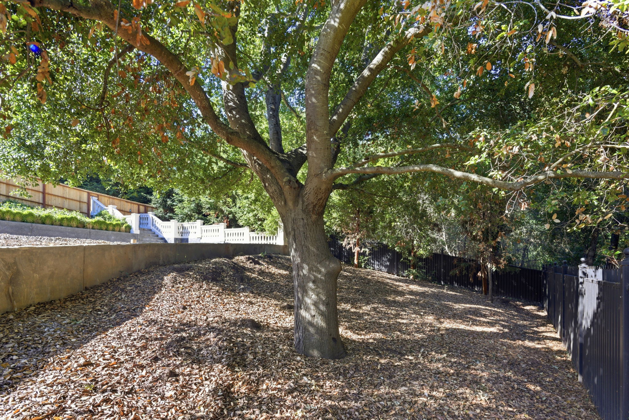 017_F8_4100 Old Adobe Rd
