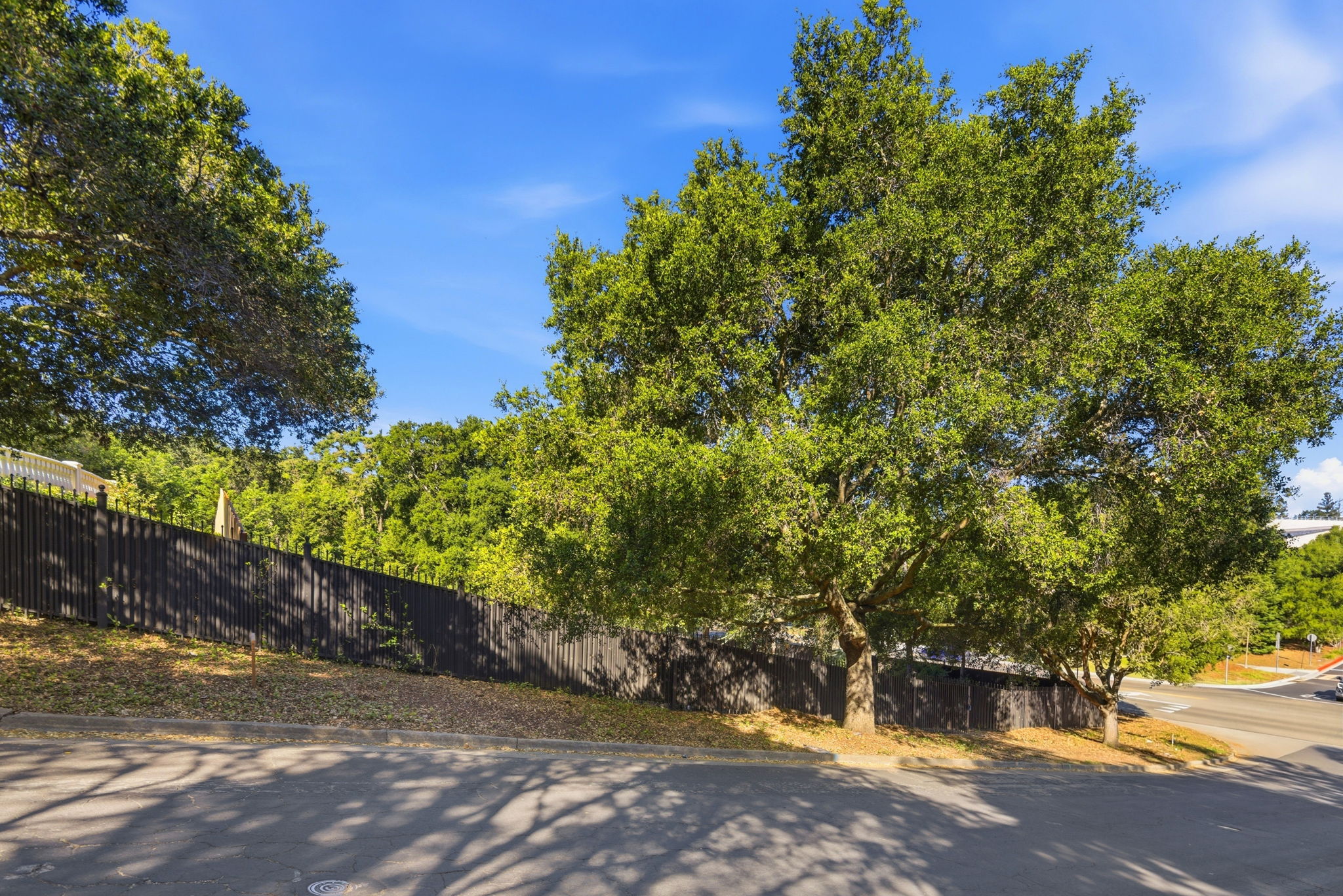 021_F8_4100 Old Adobe Rd