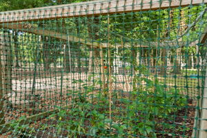  Photo 40