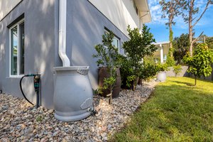 Rain barrel watering system