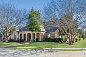 Large trees that soon will bloom with beautiful colors