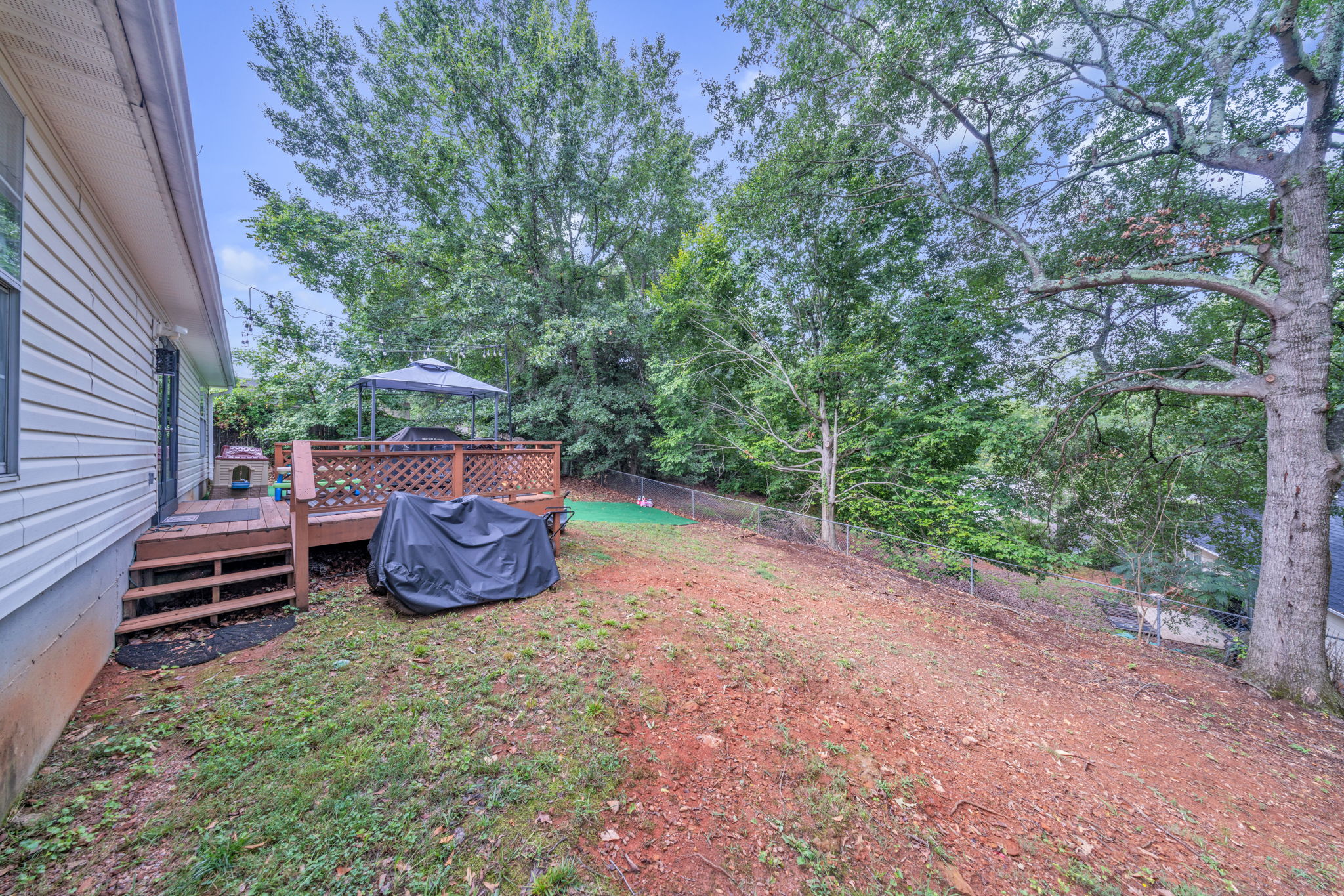 Back Yard