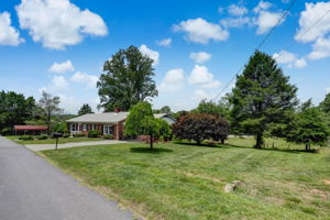 Front Yard