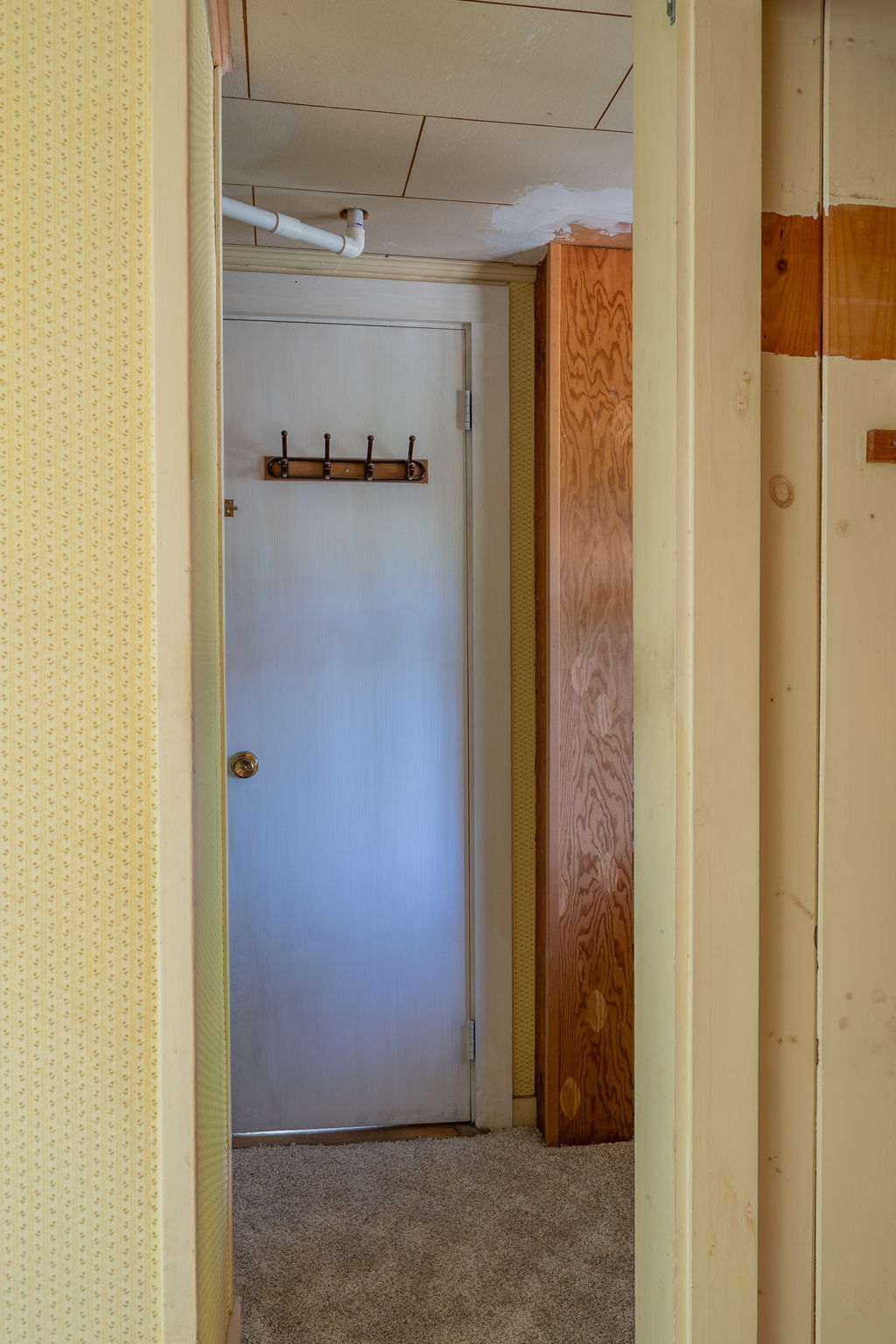  Photo 47