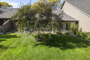  Photo 49
