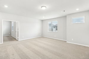 Houston - Spring Brook Village - 4111 Farm Hollow St, Houston, TX 77080 - 021