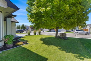 Front Yard