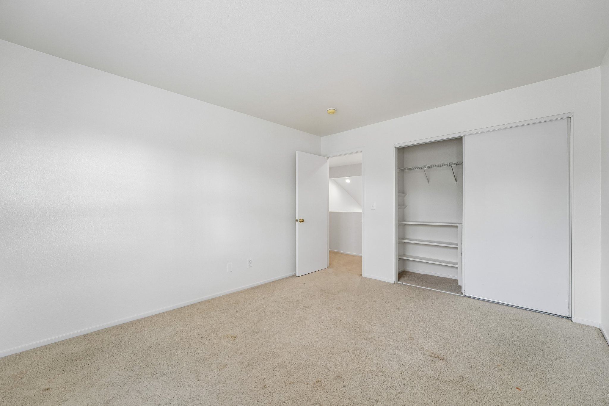 - 4113 Cedar Creek Ct-S0309-038.jpg