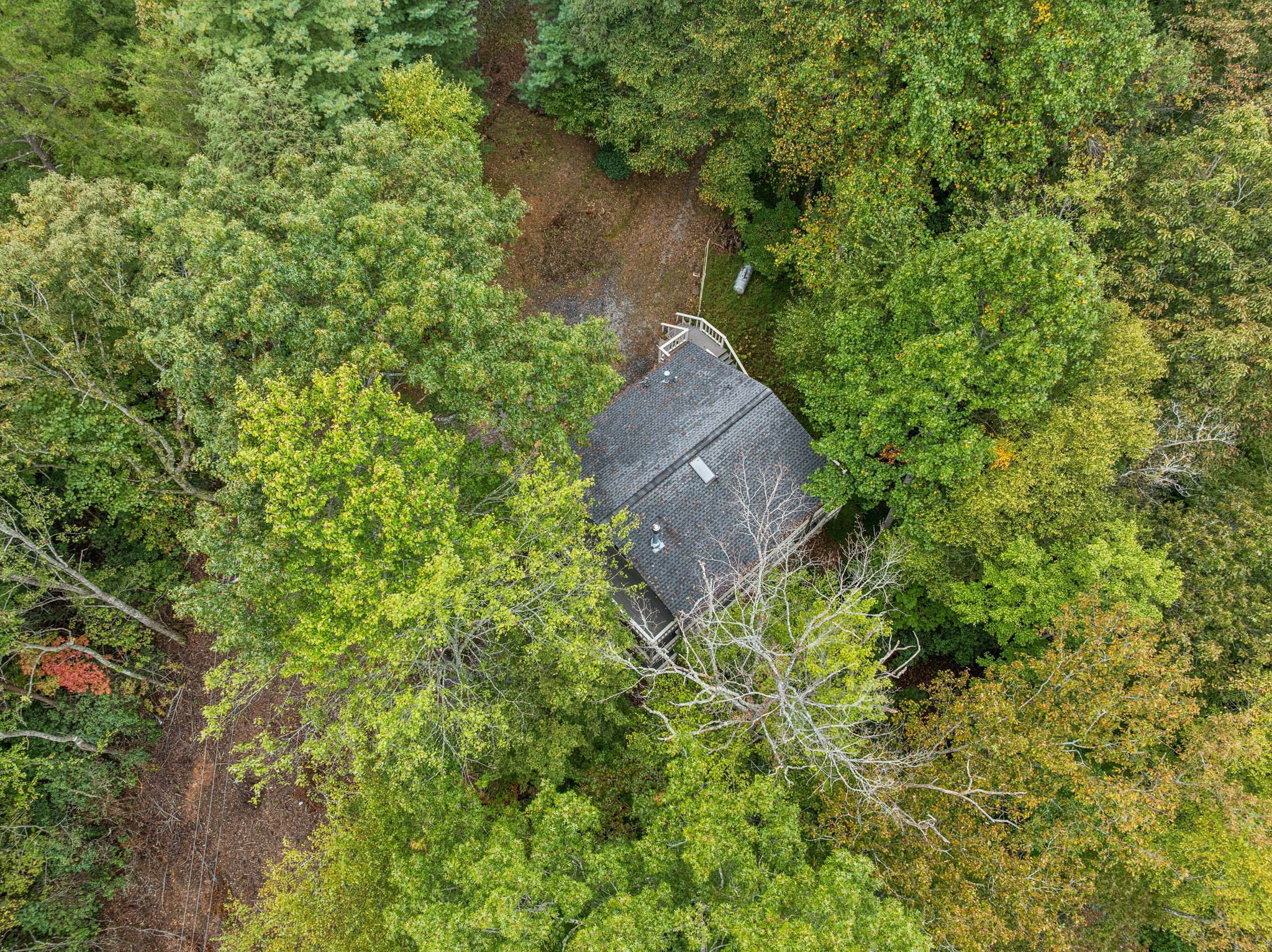 Local_Flavor_films-4113 White Oak Dr, Hiawassee, GA 30546-286.jpg