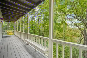 Local_Flavor_films-4113 White Oak Dr, Hiawassee, GA 30546-216.jpg