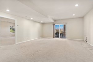 Basement Family Room