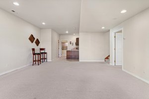Basement Family Room