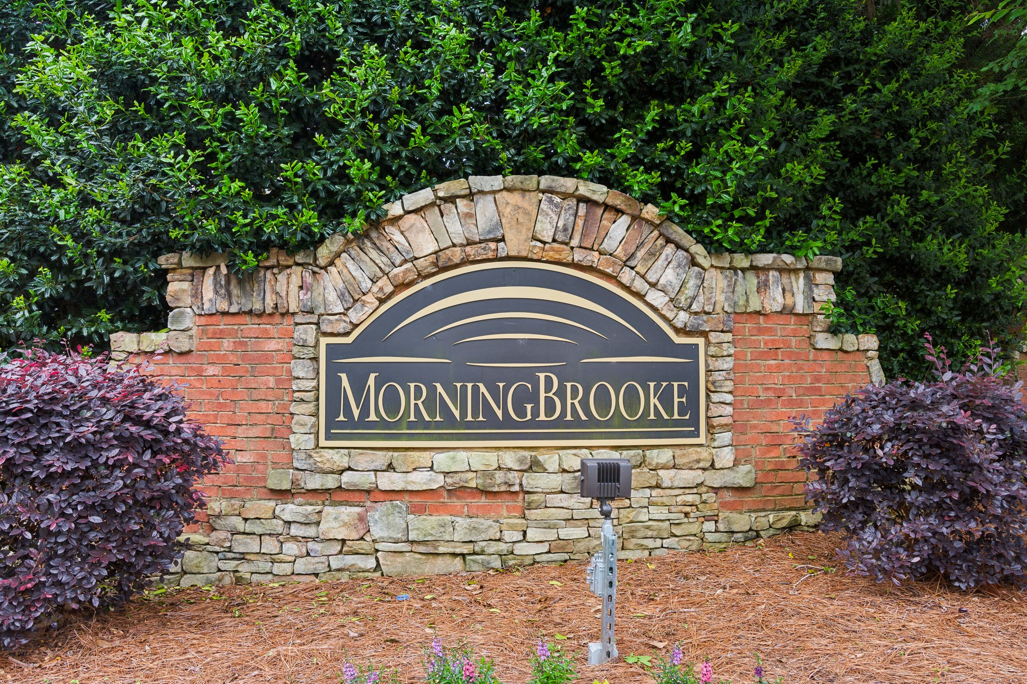 Local_Flavor_Films-4114_Suwanee_Trail_Dr_NE_Buford_GA-271.jpg