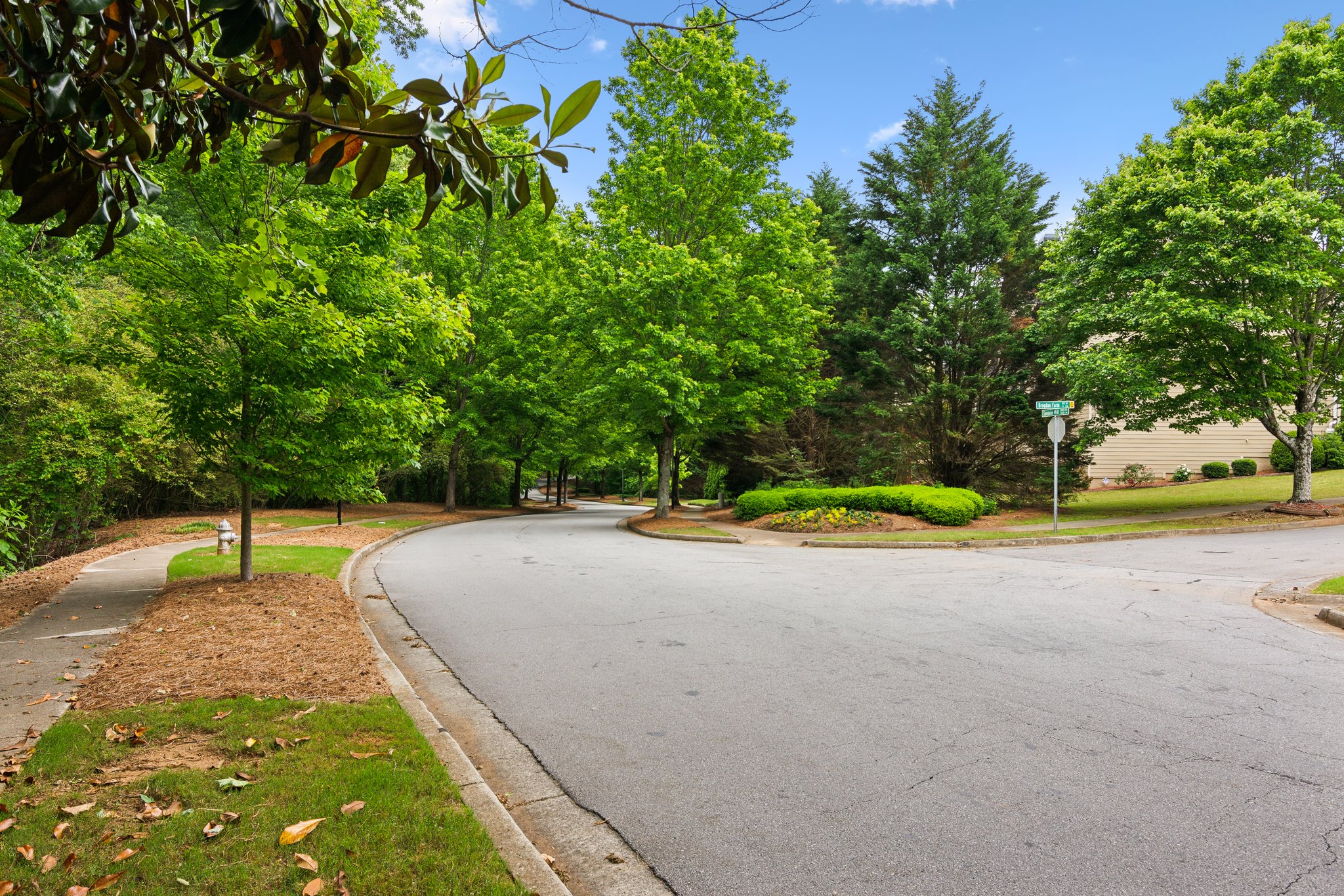 Local_Flavor_Films-4114_Suwanee_Trail_Dr_NE_Buford_GA-306.jpg
