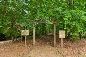 Local_Flavor_Films-4114_Suwanee_Trail_Dr_NE_Buford_GA-301.jpg