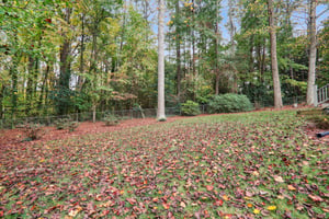 Lanscaped backyard