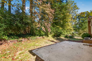  Photo 49
