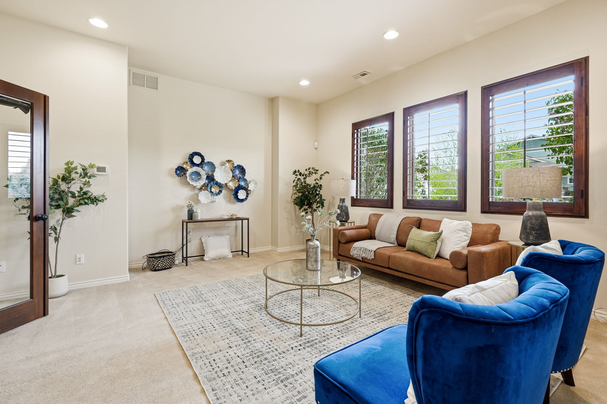 Lower Level Flex Room