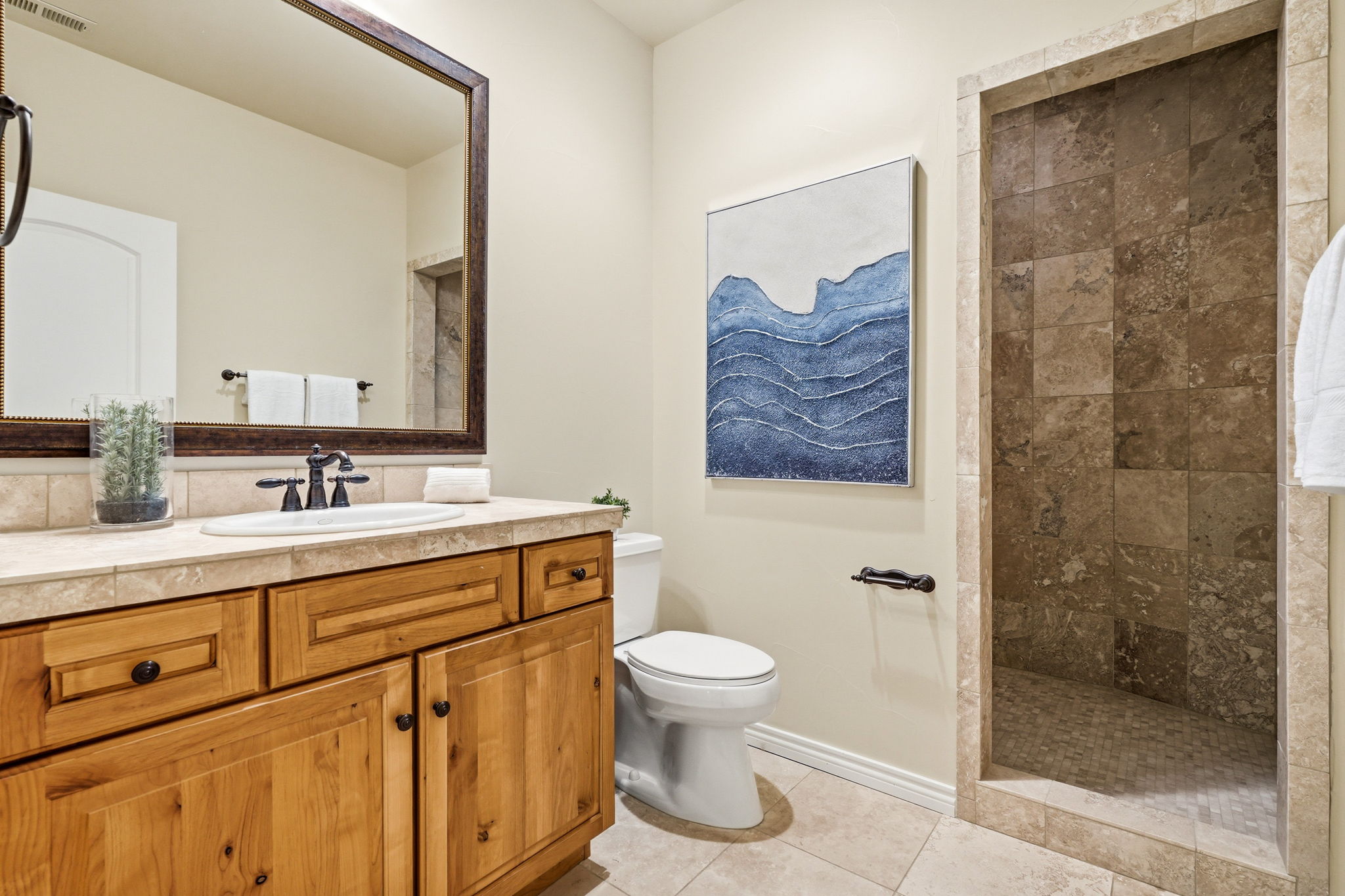 Lower Level - Guest Bathroom