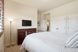 Lower Level - Guest Bedroom