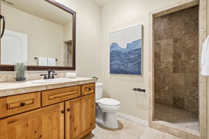 Lower Level - Guest Bathroom