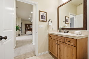 Lower Level - Guest Bathroom